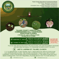Fall '24 Continuing Education Classes